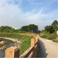 白鴿湖文化公園